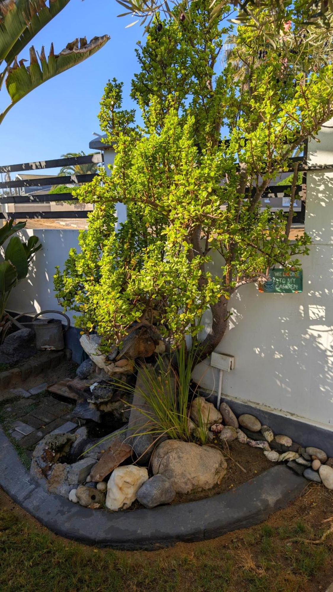 Amarachi Guesthouse Swakopmund Εξωτερικό φωτογραφία